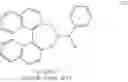 Fig. 09 - Coordination complex system comprising tautomeric ligands