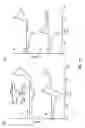 Fig. 09 - Photochromic and electrochromic compounds and methods of synthesizing and using same