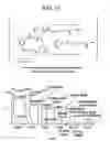 Fig. 22 - Methods for preparation of antibody-maytansinoid conjugates