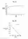 Fig. 03 - MODULATORS AND MODULATION OF THE INTERACTION BETWEEN RGM AND NEOGENIN