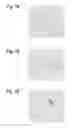 Fig. 04 - MODULATORS AND MODULATION OF THE INTERACTION BETWEEN RGM AND NEOGENIN