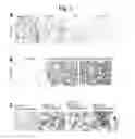 Fig. 06 - MODULATORS AND MODULATION OF THE INTERACTION BETWEEN RGM AND NEOGENIN