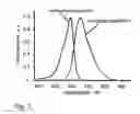 Fig. 04 - Modified fluorescent proteins and methods for using same