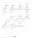 Fig. 02 - Method for modifying lignin structure using monolignol ferulate conjugates