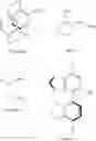 Fig. 08 - RHODIUM-PHOSPHORUS COMPLEXES AND THEIR USE IN RING OPENING REACTIONS