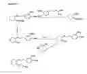 Fig. 131 - Aminocyclohexyl ether compounds and uses thereof