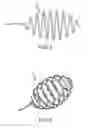 Fig. 04 - Apparatus and methods for contactless electrophysiology studies
