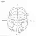 Fig. 08 - Apparatus and method for white-matter-enhancement processing