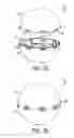 Fig. 10 - Bioabsorbable target for diagnostic or therapeutic procedure