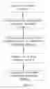 Fig. 08 - Functional analysis of neurophysiological data