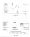 Fig. 09 - Functional analysis of neurophysiological data