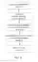 Fig. 10 - Functional analysis of neurophysiological data