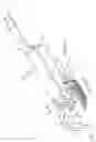 Fig. 02 - Surgical system