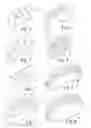 Fig. 02 - TEETH TRAINING TOOL