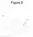 Fig. 06 - Reduced density foam for use in surfaces of orthotics