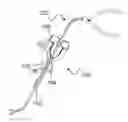 Fig. 01 - Steerable tube