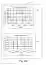 Fig. 09 - System and method for intraparenchymal drug infusion