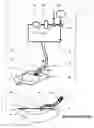 Fig. 01 - Wound cleansing apparatus with stress