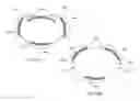 Fig. 11 - Disposable absorbent articles being adaptable to wearer's anatomy
