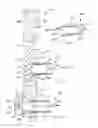 Fig. 04 - Valves and hubs for tubular devices and methods for making and using them
