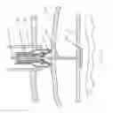 Fig. 19 - Percutaneous Gastroplasty