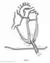 Fig. 10 - TRANSAPICAL HEART PORT