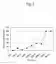 Fig. 03 - VISIBLE LIGHT CURABLE ADHESIVE