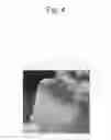 Fig. 05 - VISIBLE LIGHT CURABLE ADHESIVE