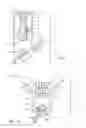 Fig. 02 - KNOTLESS SUTURE FIXATION DEVICE AND METHOD