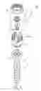 Fig. 06 - Spine fixation device