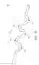 Fig. 03 - FLEXIBLE SPINAL FIXATION DEVICE AND ROD THEREOF