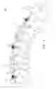 Fig. 07 - FLEXIBLE SPINAL FIXATION DEVICE AND ROD THEREOF