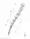 Fig. 02 - Plate for the treatment of bone fractures