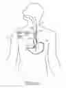 Fig. 04 - Method and Apparatus for Treatment of the Gastrointestinal Tract