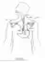 Fig. 09 - Method and Apparatus for Treatment of the Gastrointestinal Tract