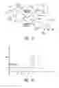 Fig. 02 - Methods and apparatus for effectuating a lasting change in a neural-function of a patient