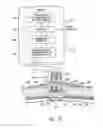 Fig. 12 - Methods and apparatus for effectuating a lasting change in a neural-function of a patient