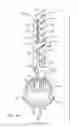 Fig. 43 - Shielded three-terminal flat-through EMI/energy dissipating filter
