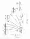 Fig. 71 - Shielded three-terminal flat-through EMI/energy dissipating filter