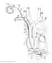 Fig. 01 - SYSTEM AND METHOD FOR CARDIAC LEAD