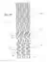 Fig. 06 - Ostium support for treating vascular bifurcations