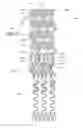 Fig. 12 - Ostium support for treating vascular bifurcations
