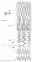 Fig. 18 - Ostium support for treating vascular bifurcations
