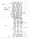 Fig. 10 - Ostium support for treating vascular bifurcations