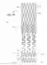 Fig. 16 - Ostium support for treating vascular bifurcations