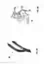 Fig. 13 - ENDOVASCULAR PLATFORMS FOR THE DIFFERENTIAL TARGETING OF MOLECULES TO VESSEL WALL AND VESSEL LUMEN