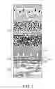 Fig. 02 - CULTURING RETINAL CELLS AND TISSUES