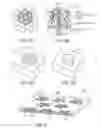 Fig. 05 - CULTURING RETINAL CELLS AND TISSUES