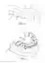 Fig. 05 - Methods of preparing a virtual dentition model and fabricating a dental retainer therefrom