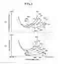 Fig. 04 - Apparatus for controlling the amount of waste heat of an engine